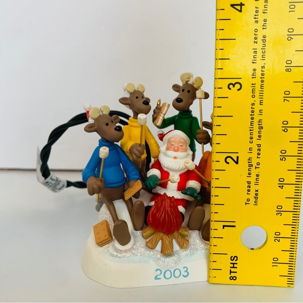 2003 Hallmark Keepsake Ornament - Picture 10 of 13